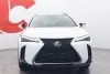 Lexus UX 250h F SPORT Design - Uusi auto heti toimitukseen Thumbnail 8